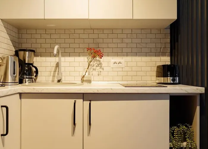 Charming & Modern - Cismigiu Park - Netflix Bucharest