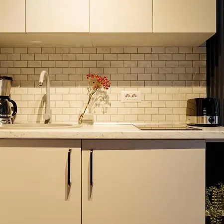 Charming & Modern - Cismigiu Park - Netflix בוקרשט