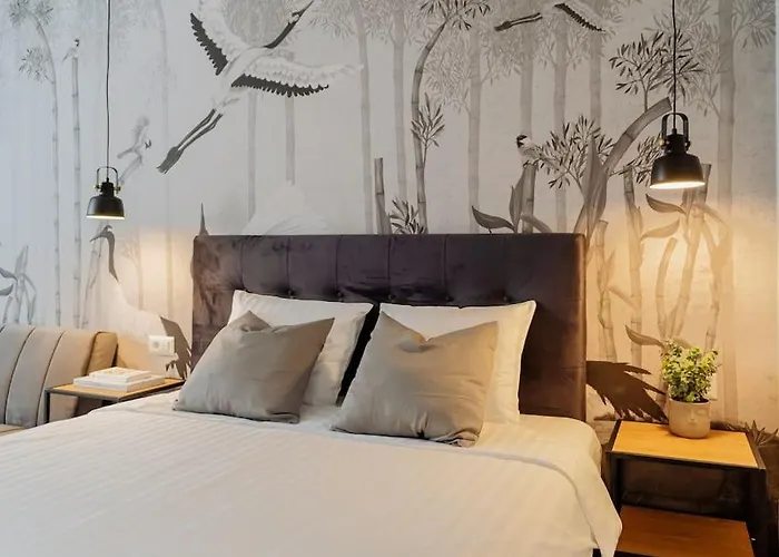 Charming & Modern - Cismigiu Park - Netflix